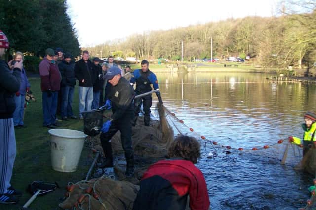 The Environment Agency remove fish from Wilton Park, Batley.