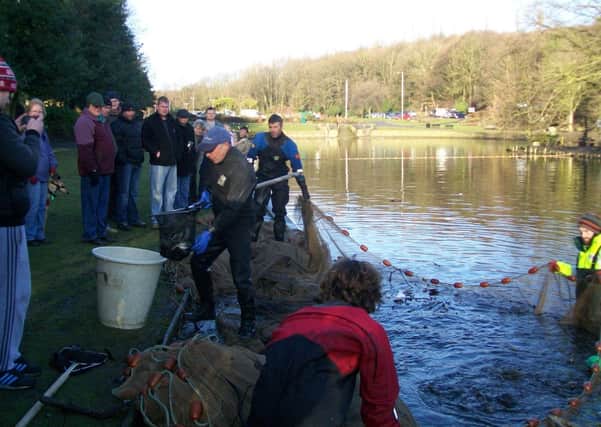 The Environment Agency remove fish from Wilton Park, Batley.