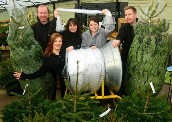 Whiteley's Garden Centre staff raised £700 for Hollybank Trust through their Christmas tree netting scheme.
