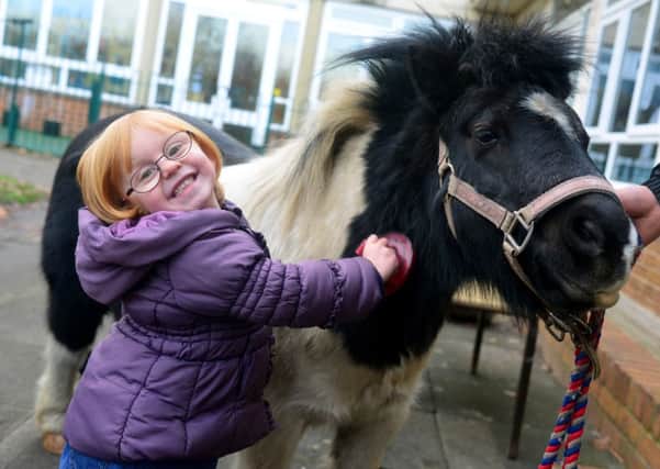 Flatts Nursery pupil Sophie Edwards with pony Jakey Boy. (D517E404)