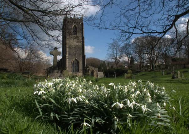 Thornhill Parish Church and snowdrops. Reader's picture by Peter Swaine.