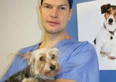Vet Joachim Proot from Dewsbury's Calder Vets with Bella.