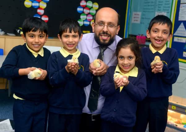 Chicks have hatched at Carlton J&I after the school got funding for the project. Mohammed Patel from  TD Direct Investing with Usmaan Hussain, Saad Hussain, Laaibah Khan,  Umar Patel and the chicks. (D523C411)