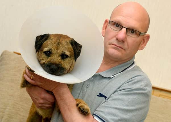 DOG ATTACK Steven Todd with Oscar, who was attacked by two Staffordshire bull terriers last Friday. (D534G421)