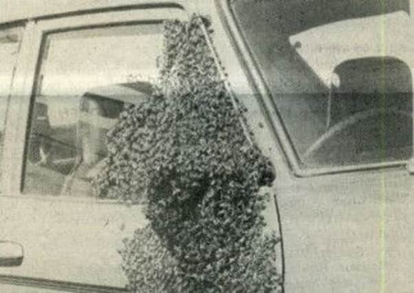 One driver literally had a bee in his bonnet after his car was surrounded by bees.