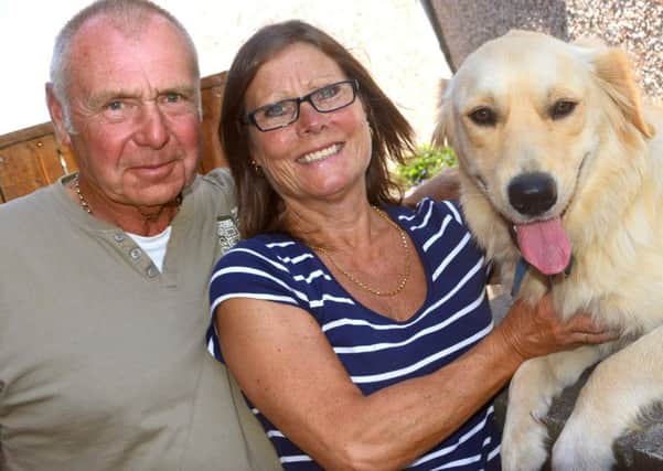 Mervyn and Janet Bryan's golden retriever Brody had surgery on its hip which has given it a better quality of life. (d623a432)