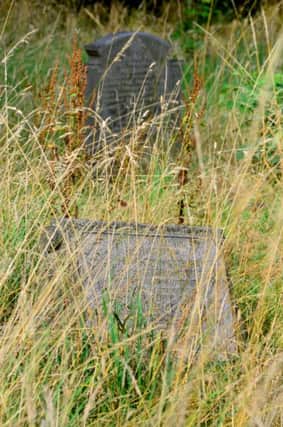 Overgrown grass hides graves at St Mary's church in Mirfield. (D541A431)