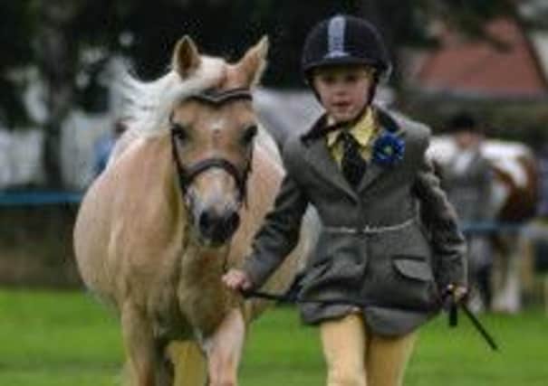 Mirfield Horse & Pony Show. Picture courtesy of Chloe Brown of Spotted Gold Photography.