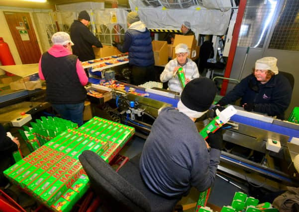 Workers packing Haribo. (d513g448)
