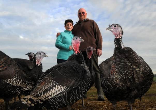 CHRISTMAS COUNTDOWN Tim and Lynne Lindley with turkeys at Hostingley Farm.