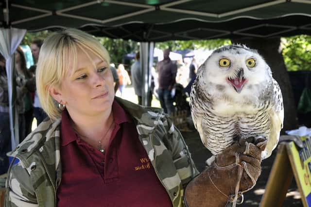 Katrina Auty of Scissett Wise Owl Bird of Prey Rescue with a twelve weeks old snowy owl at Mirfield Show.