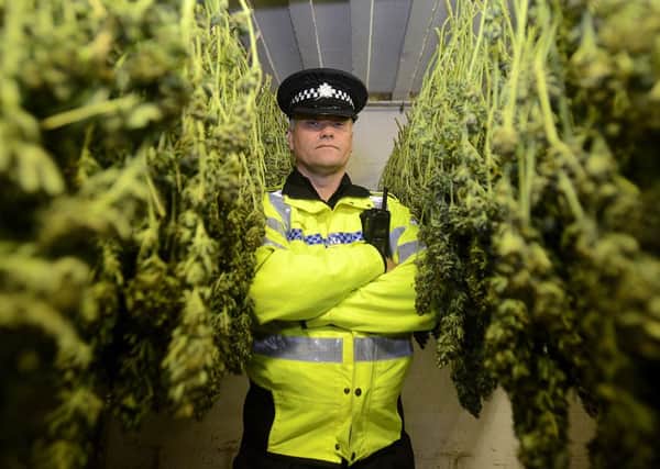 Insp Ian Williams in a drying room used to dry out the harvested crops.