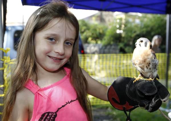Eva Edwards with an American Kestral from Wise Owl birds of prey.
