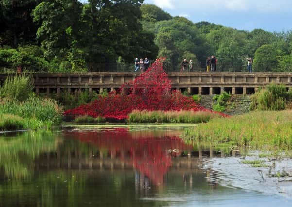 3 September 2015 .......   The poppies installation Wave at Yorkshire Sculpture Park. 
Origanially Blood Swept Lands and Seas of Red was created to mark the centenary of the First World War and was originally at HM Tower of London in 2014, now part of that work is touring the country.  Picture Tony Johnson
