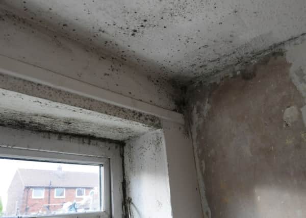Kirklees Council received thousands of complaints about damp and mould.