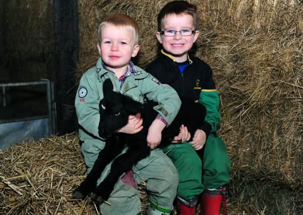 William Ellis (2) and Tom Goodyear (5) with the lamb.