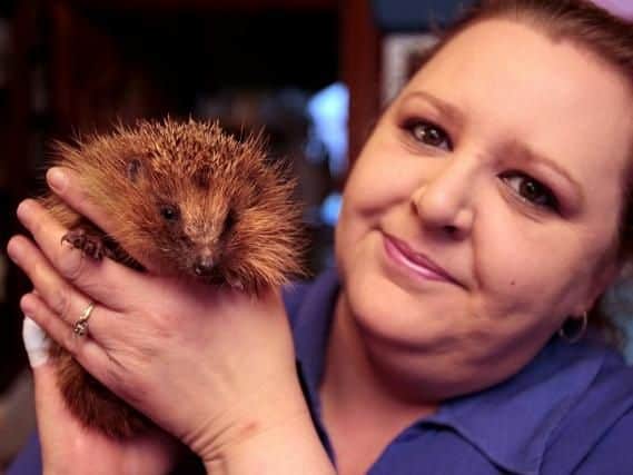 Vicky Greenwood cares for 140 hedgehogs in her Dewsbury home
