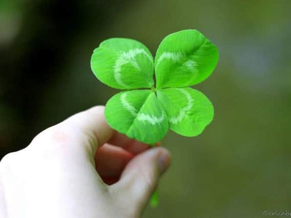 Four leaf clover: Academics are out to banish the Friday the 13th myth for good