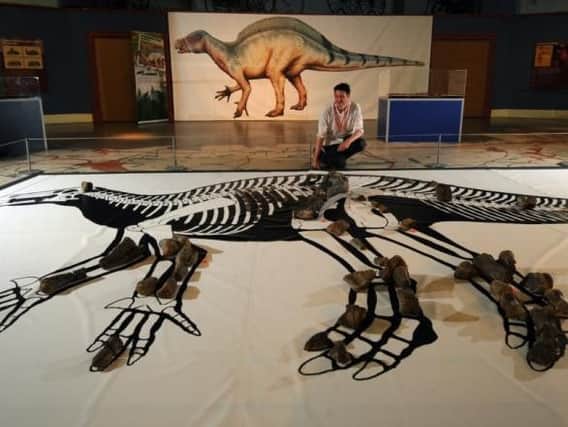 Leeds Museum Curator Neil Owen pictured with the partial Skeleton of a 25ft Hypselospinus.