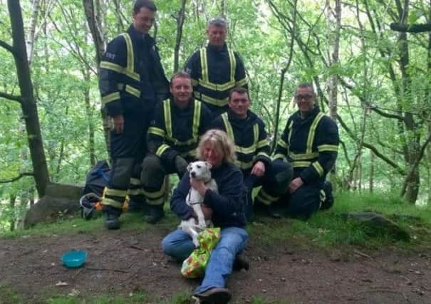Members of the Technical Rescue Team with Steph Wade and Fred in Bramley Fall Woods. Pictures courtesy of West Yorkshire Fire and Rescue Service.