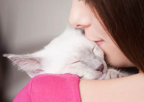 Cats carry a rare bacteria in their mouths and claws which can be passed on to humans.
