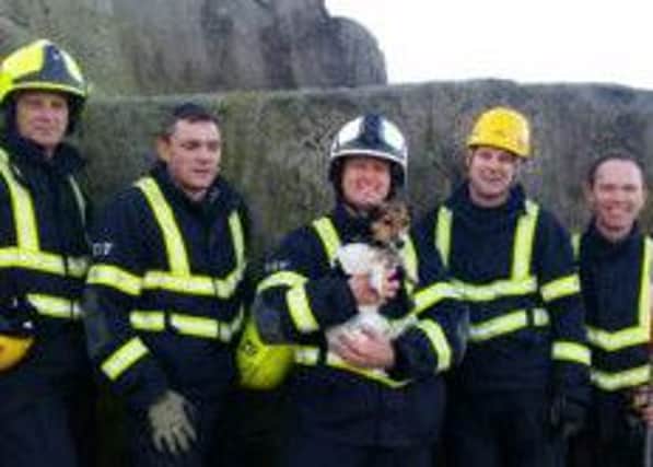 Cleckheaton firefighters help rescue a dog. Pic supplied by fire service.