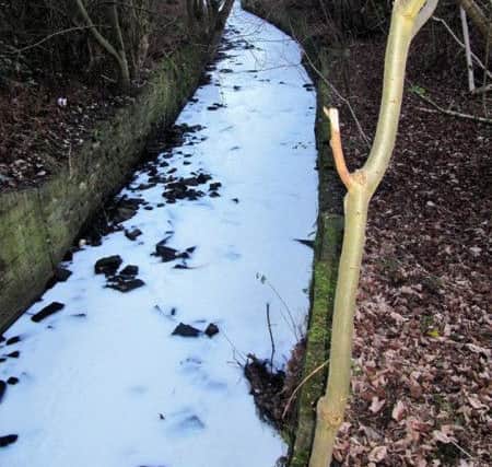 Paint spillage polluting waterways including River Spen. Picture by Kath Larkin