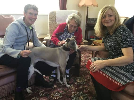 MP Tracy Brabin, right, with Alzheimers Society Side by Side volunteer Julie Taylor-Radcliffe and her Pets as Therapy dog Flint during the visit to Margaret Grace.