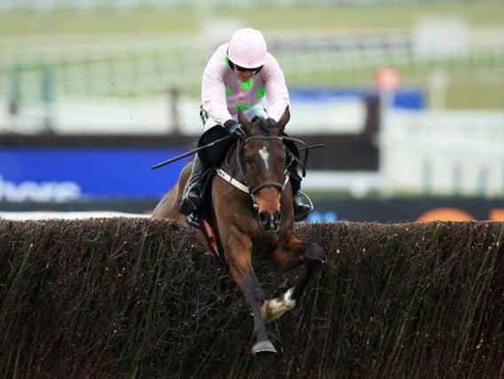 Willie Mullin's Douvan is a heavy favourite to win the Queen Mother's Chase