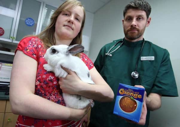 Helen Wilkinson with her rabbit Mrs Mouse who accidentally ate part of a Terry's chocolate orange and veterinary surgeon Tommaso Giorgi.
