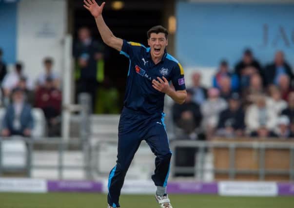 Yorkshire Vikings slipped to defeat at Worcestershire on Friday.