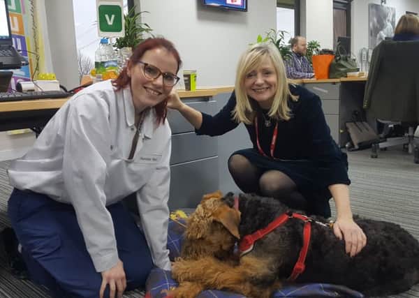 VISIT: MP Tracey Brabin meets a staff members pet during her recent trip to Mars Petcare and Treats.