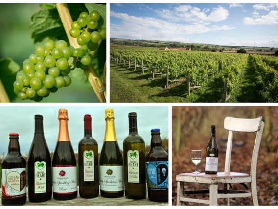 Yorkshire has a few select vineyards which make delicious wine enjoyed by many, both in the UK and overseas