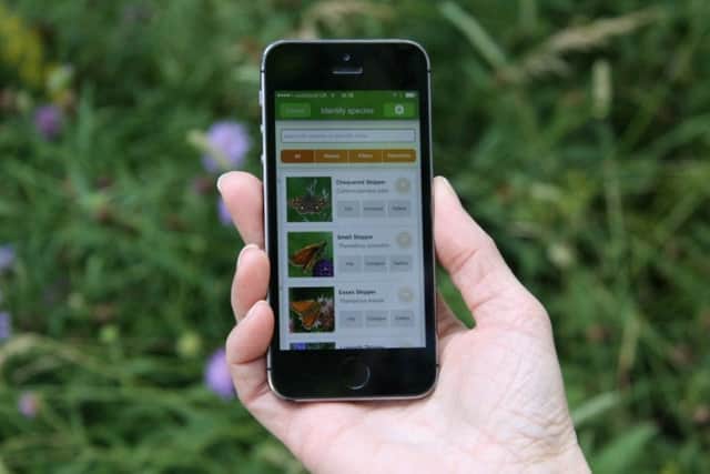 The iRecord Butterflies app is part of a family of apps for documenting nature.